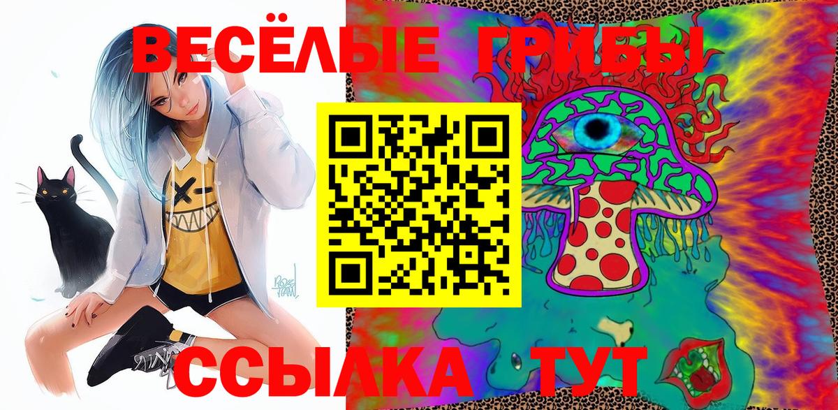 Псилоцибиновые грибы прущие грибы  Вход с VPN  Сергиев Посад 